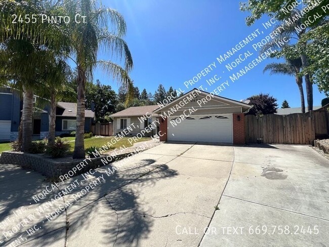Building Photo - 2455 Pinto Ct