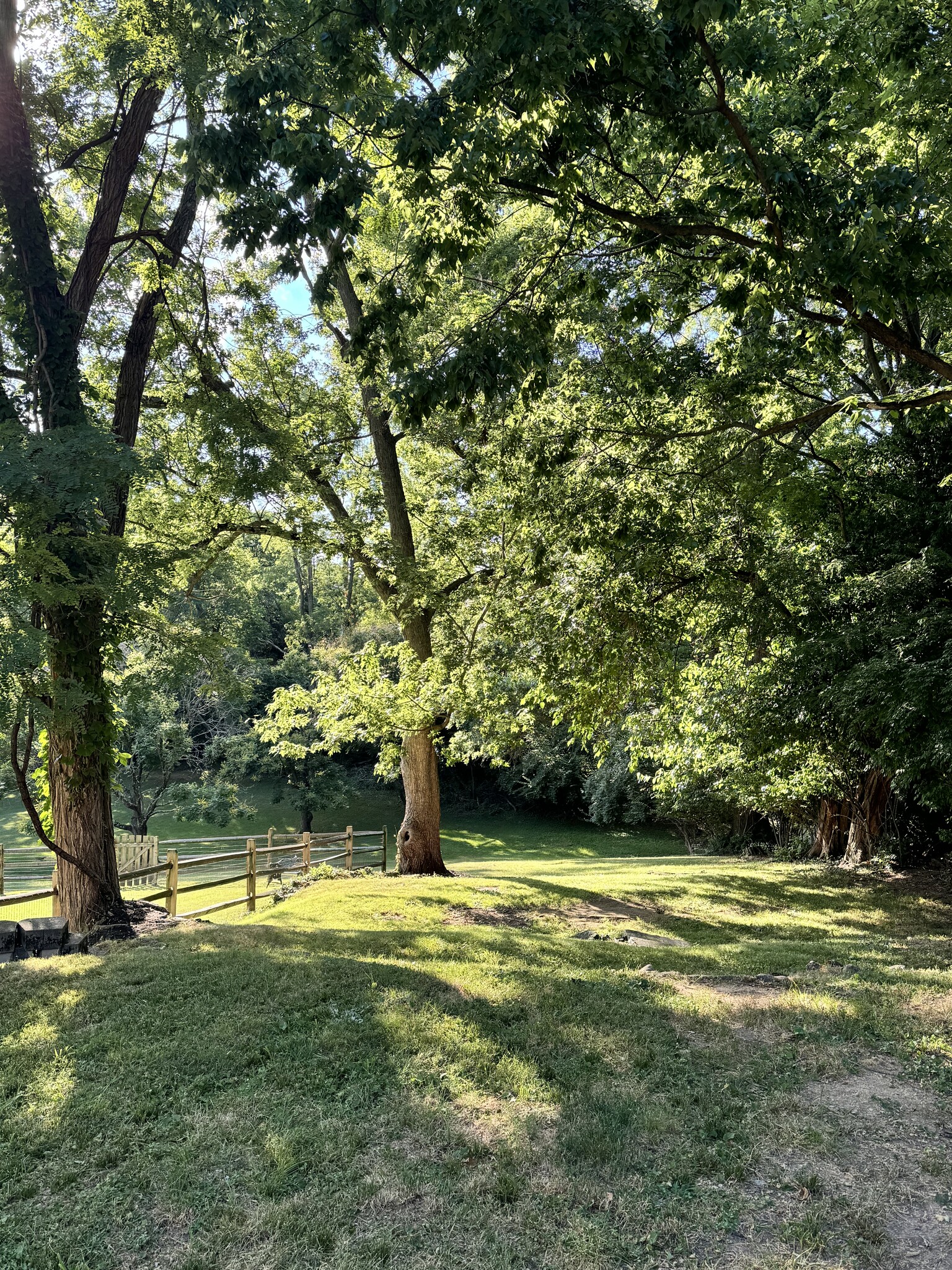 Park-like view in backyard. Enjoy watching the deer! - 45 Hartweg Ave