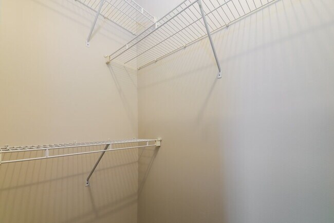 Building Photo - 3824 Lodgepole Ln