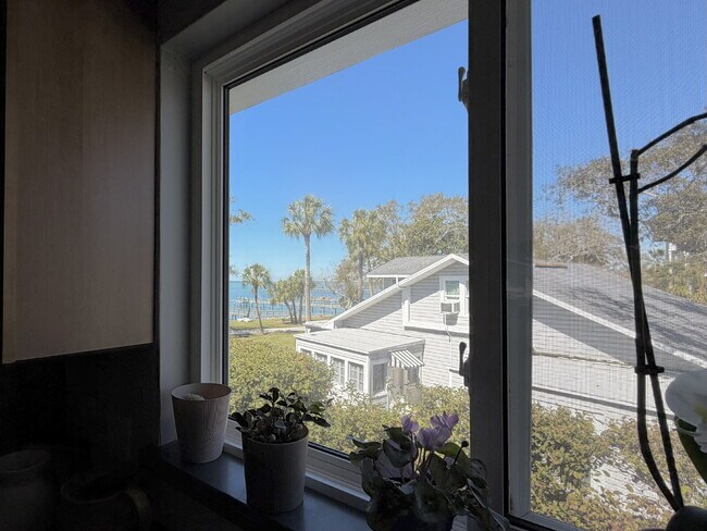 Building Photo - "Charming 1-Bedroom Condo Retreat in Dunedin's Heart - Cozy, Convenient & Inviting!"