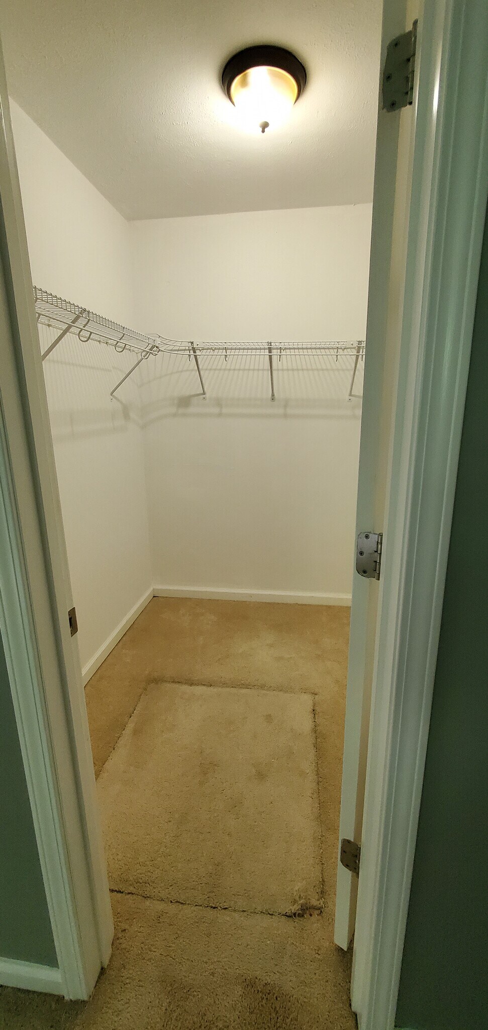 Master bedroom , crawl space entry in walk in closet - 313 Britanna Dr