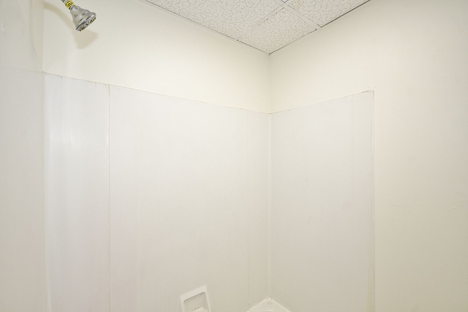 Building Photo - 2040 Brownsville Rd