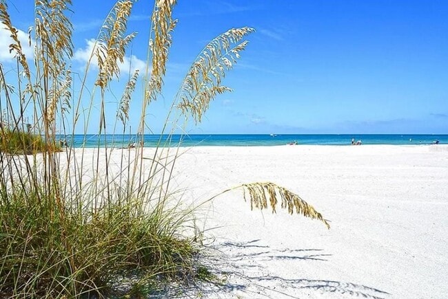 Building Photo - Newly Renovated Beachfront Condo with Stun...