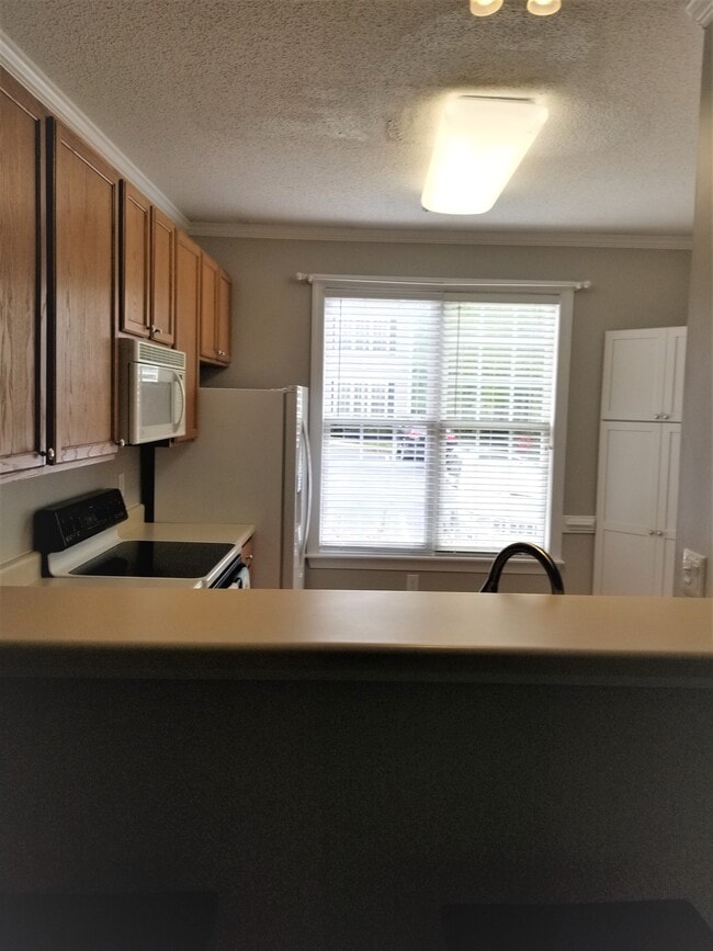 Building Photo - 7309 Bonnie Ridge Ct