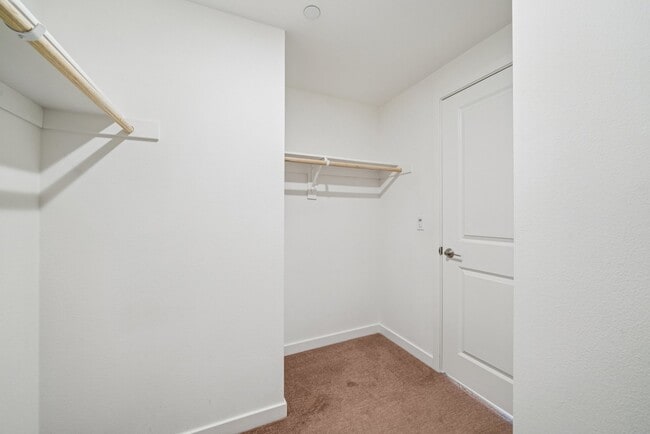 Building Photo - 11048 Luminate Dr