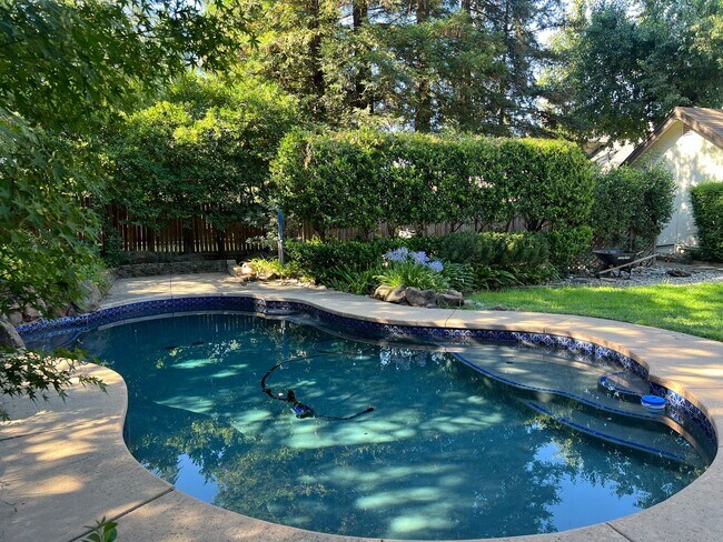 Building Photo - 3 BEDROOM/2 BATH EAST ROSEVILLE BEAUTY W/P...