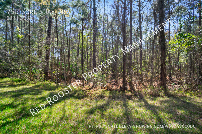 Building Photo - St Johns County, CR 210 area, 2 BR Townhou...