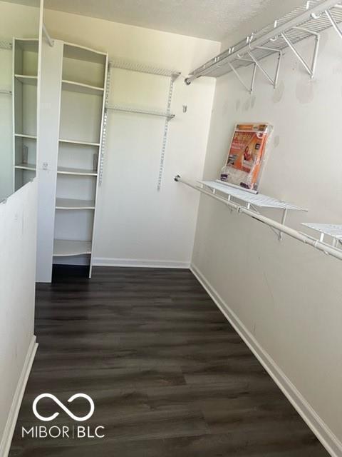 Building Photo - 10927 Lemongrass Dr