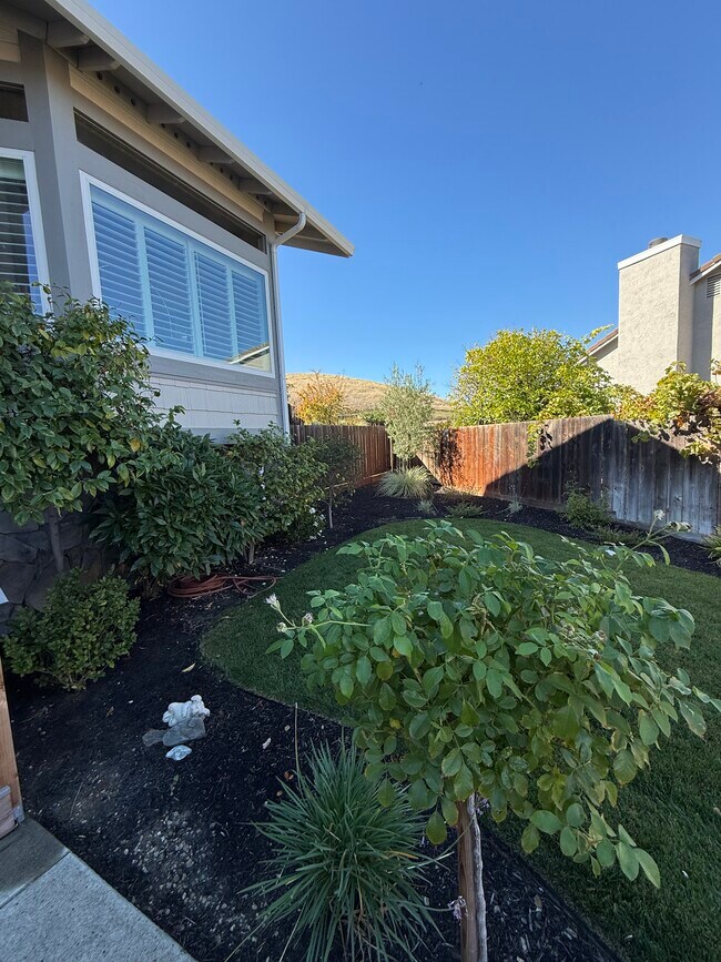 Building Photo - 1101 Rock Creek Way