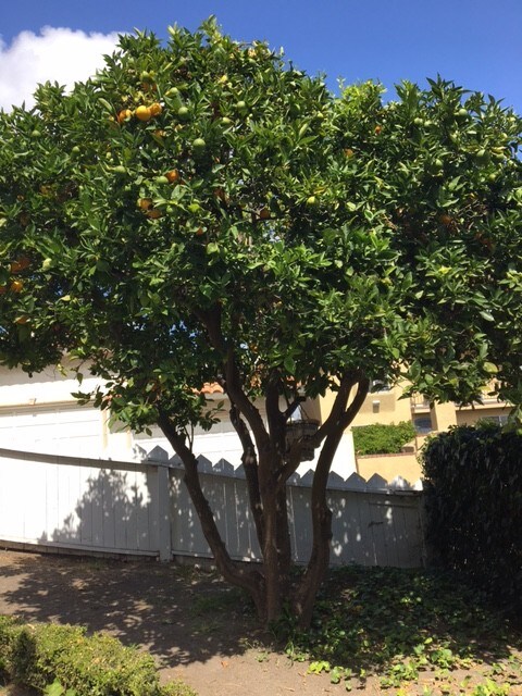 Building Photo - 2016 S Patton Ave