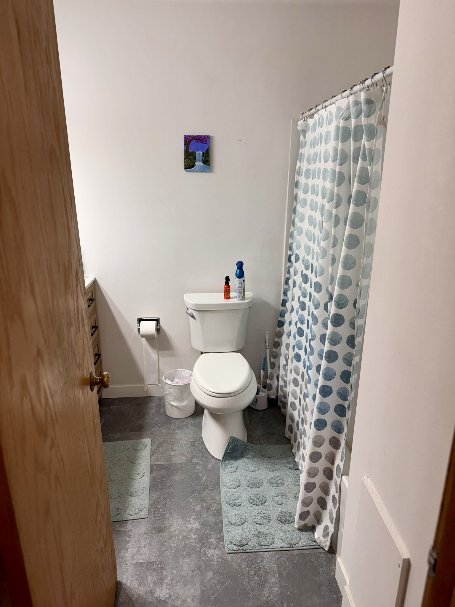 Lower Bath - 5111 Wallace Ave