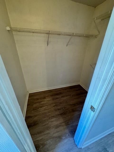 Building Photo - 2820 Saw Palmetto Ln