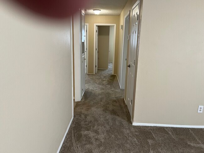 Building Photo - 209 Manson Dr