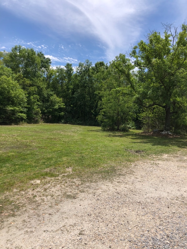 Building Photo - 4508 Lanier Ave