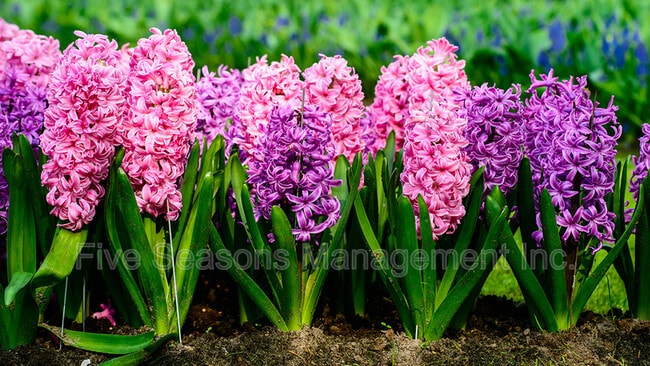 Building Photo - 32 Intervale Ave