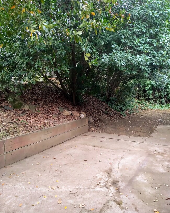 Backyard - 170 Westelle Dr