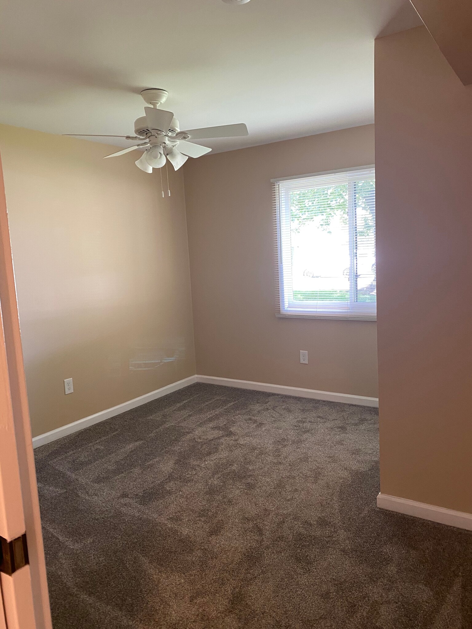 Building Photo - 31803 Nardelli Ln