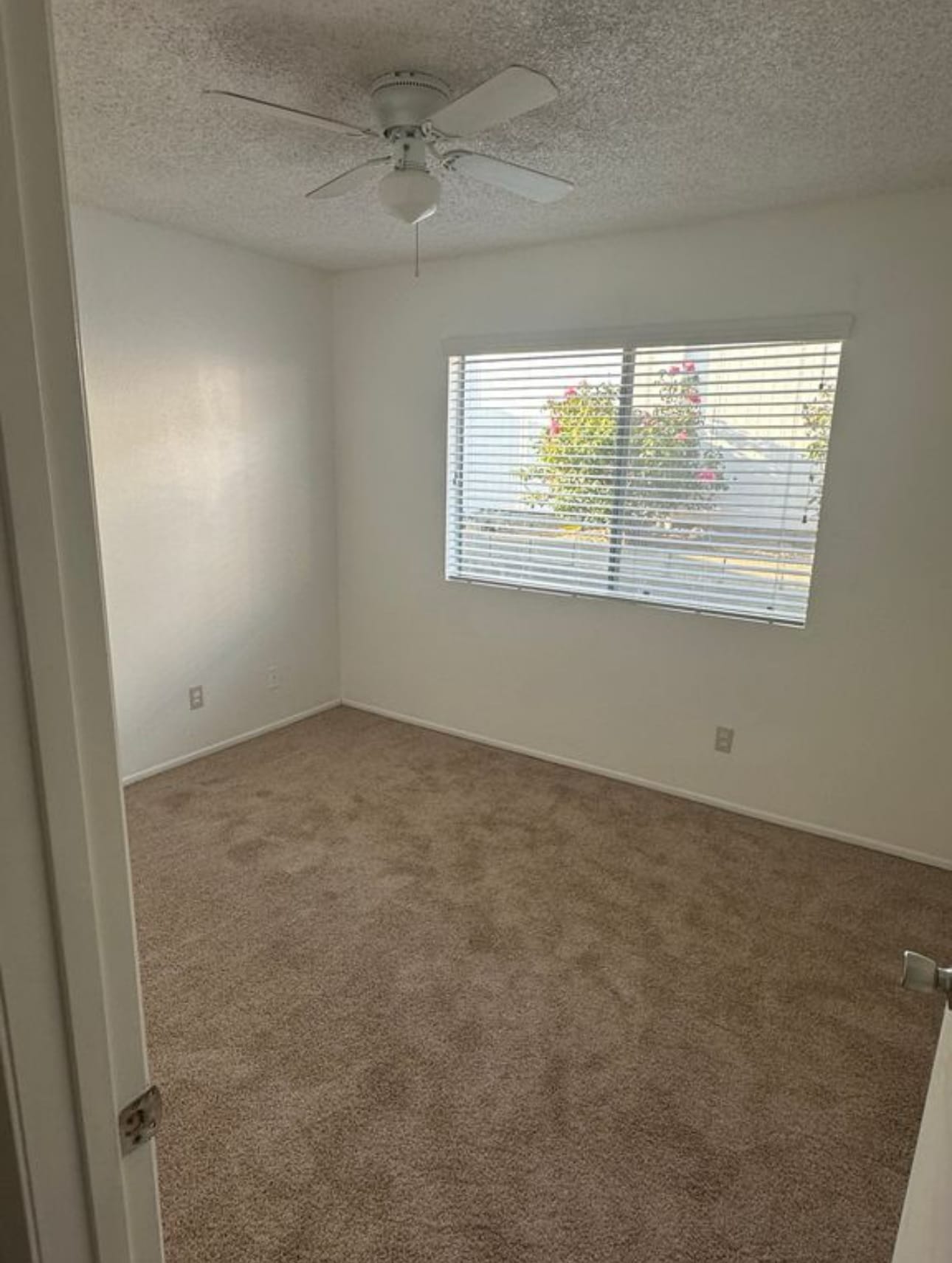 Building Photo - 1602 Viola Pl