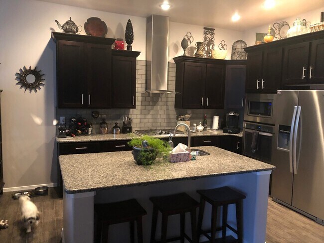 Building Photo - Gorgeous 4 bedroom home in Del Prado