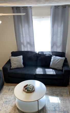 Furnished living room with 2 couches and coffee table - 535 W Glenn Ave