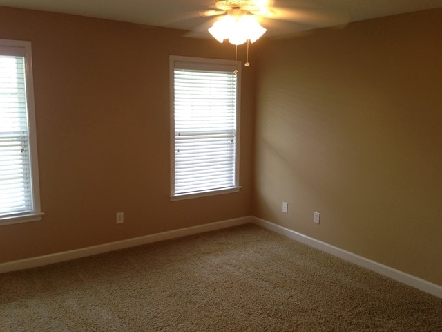 Building Photo - 428 Bridgewood Ct