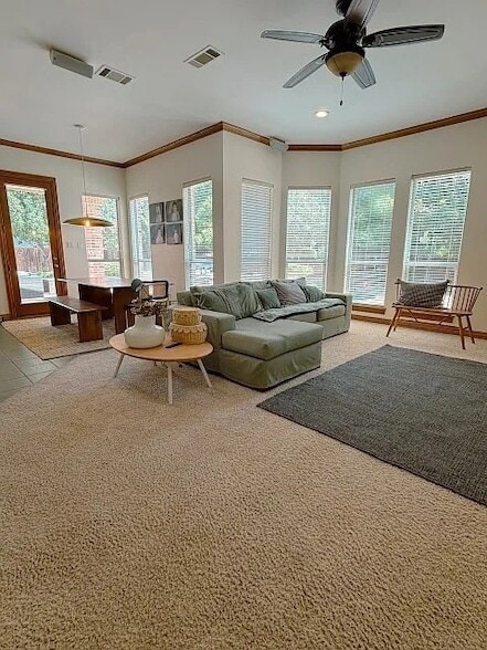 Building Photo - 801 Timber Lake Cir