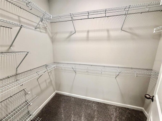 Building Photo - 346 Lady Palm St