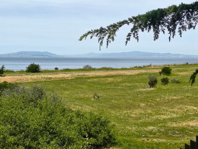 Building Photo - 3BED/2BATH Single Family Home Located in Desirable San Pablo, Ca. With Beautiful Ocean Front View!!