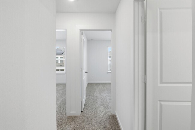 Building Photo - 3538 Adelie Ln