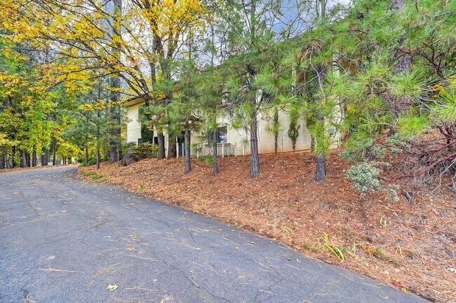 Building Photo - Foresthill
