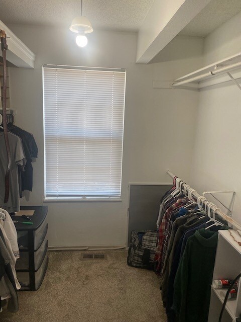 Master BR Walk-in Closet - 793 S Mobile St
