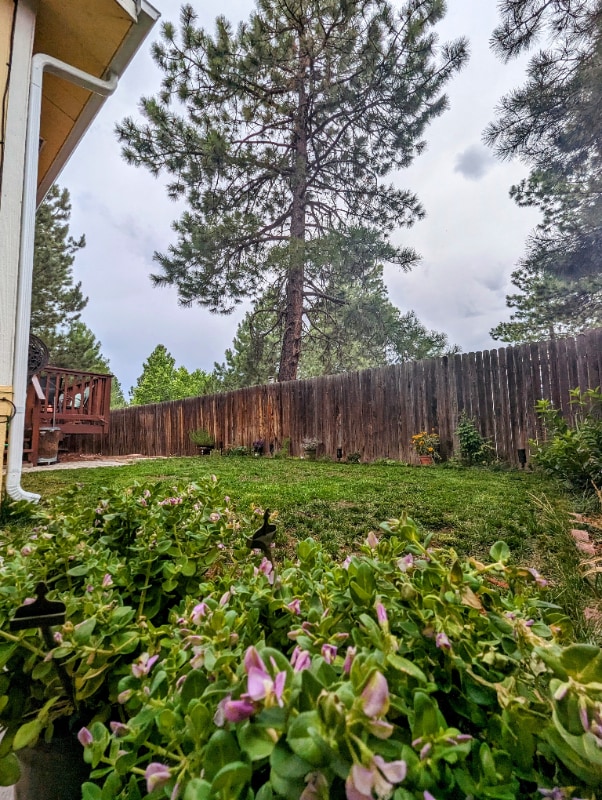 Building Photo - 120 E Camille Dr