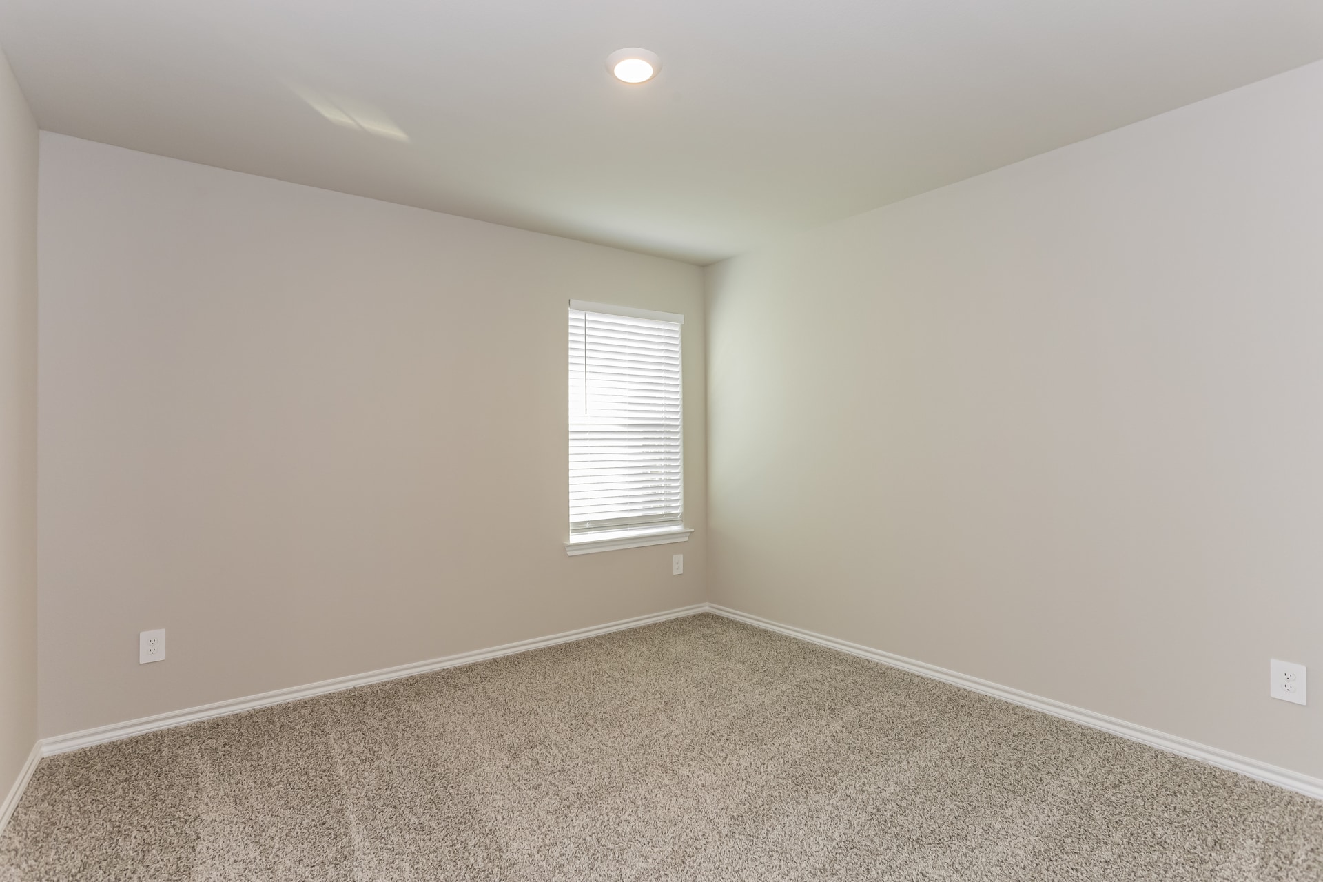 Building Photo - 8448 Hollymead Ln