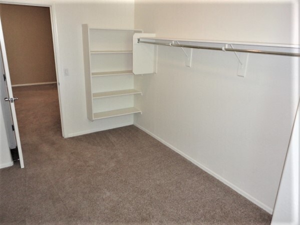Building Photo - 3787 E Flower Ct