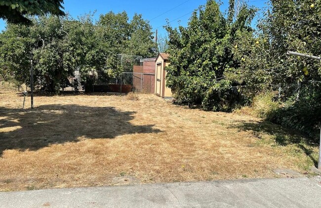 Building Photo - Spacious 4 bd 2.5 ba Beacon Hill Home with Private Yard