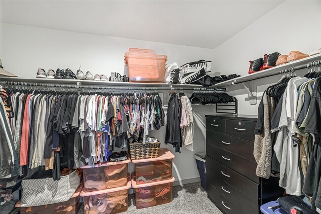 Building Photo - 246 Dusty Bridle Ln