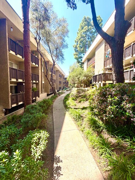 Building Photo - 6202 Friars Rd