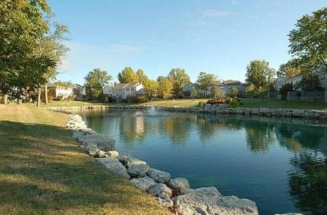Pond - 10939 Barrington Ct