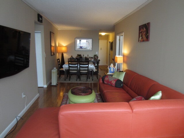 Living Room -A - 45 River Dr S