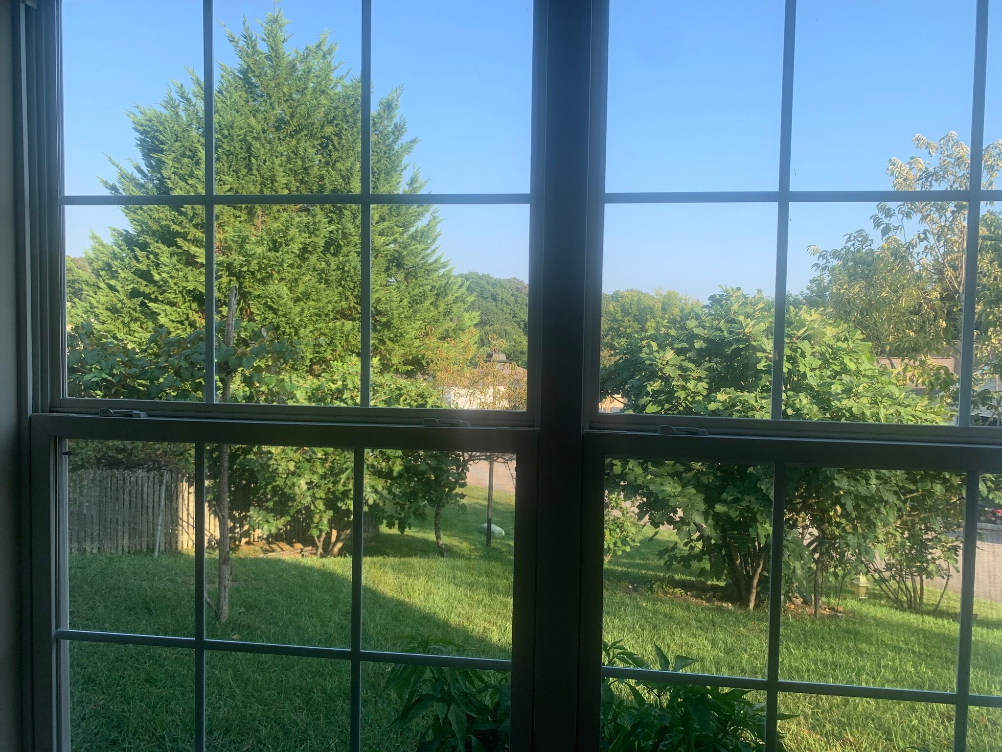 Backyard - 6406 Granite Hill Ln