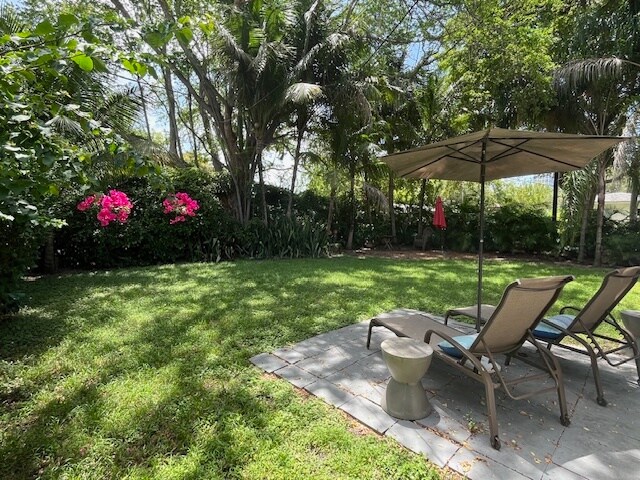 backyard - 3515 Monegro St