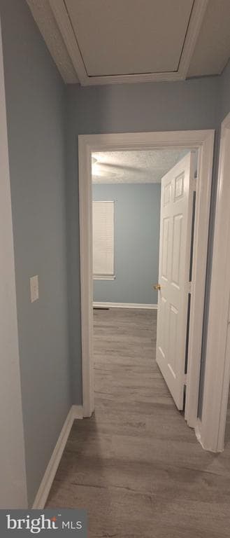 Building Photo - 323 Lindera Ct