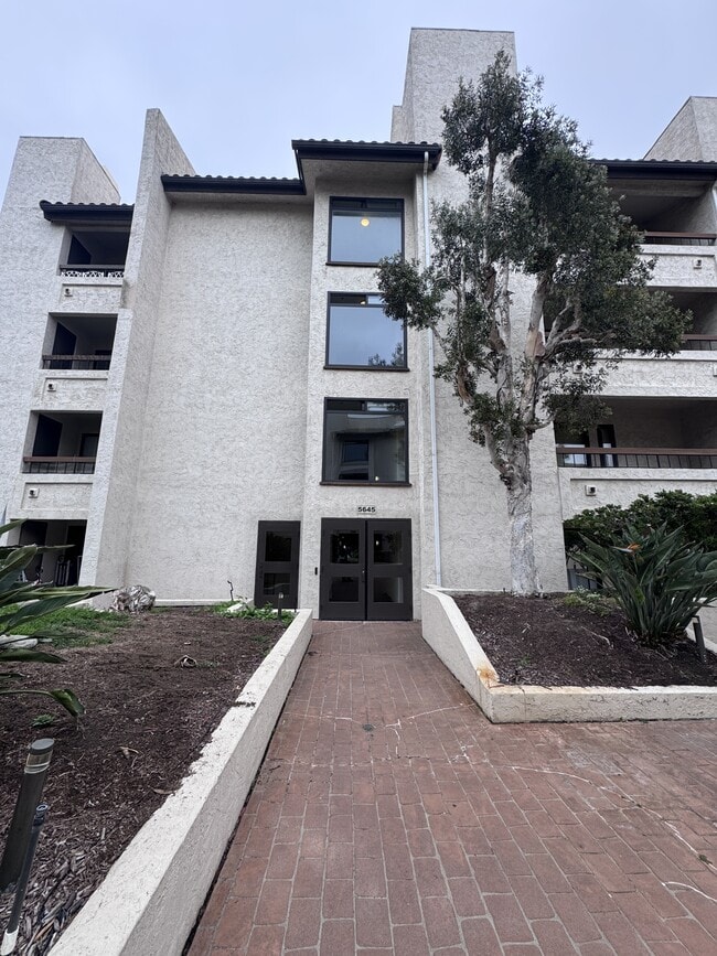 Building Photo - 5645 Friars Rd