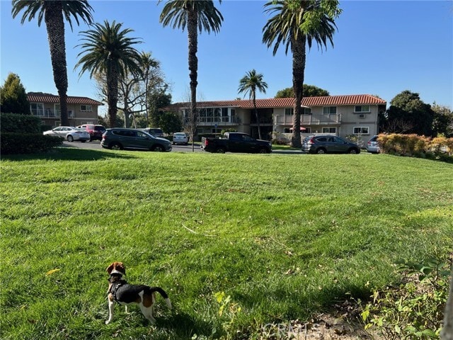 Building Photo - 254 Calle Aragon