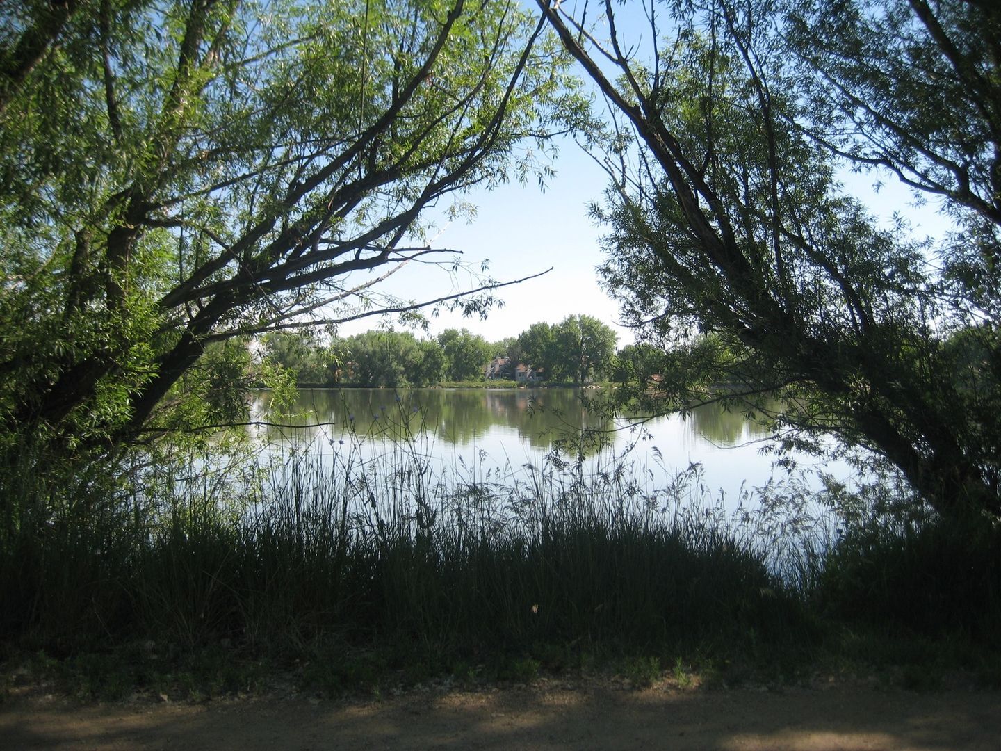 Building Photo - 4852 Brandon Creek Dr