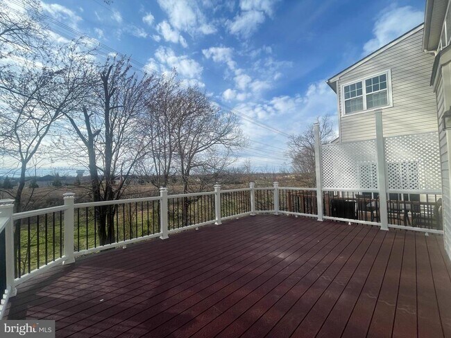 Building Photo - 41851 Cinnabar Square