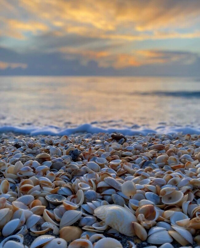 Building Photo - 1801 S Us Highway 1