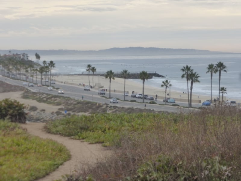 Building Photo - 350 Chestnut Ave