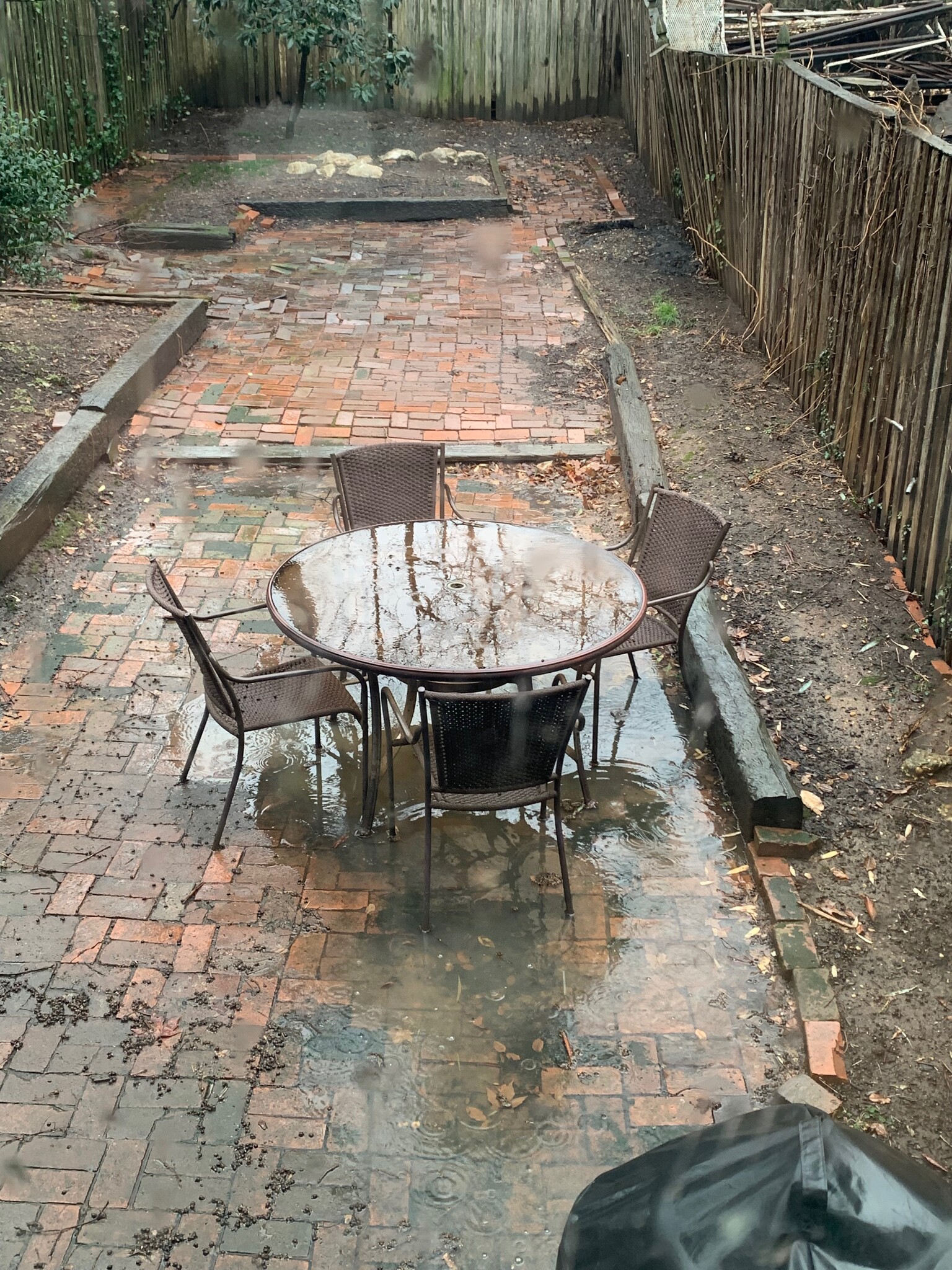 Large Backyard - 3322 17th St NW