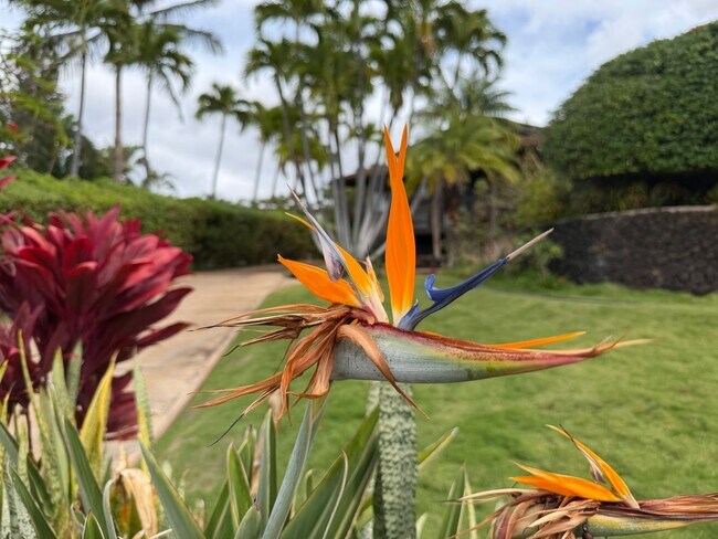 Building Photo - Kaanapali Vista Home